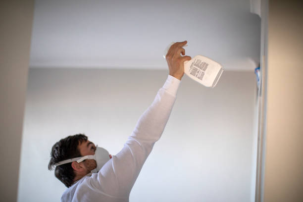 Best Industrial Mold Remediation in Silver Firs, WA